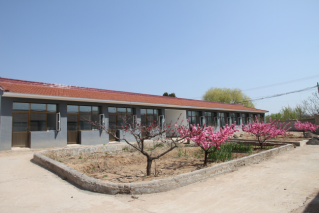 1492590820542588.png 图片1.png